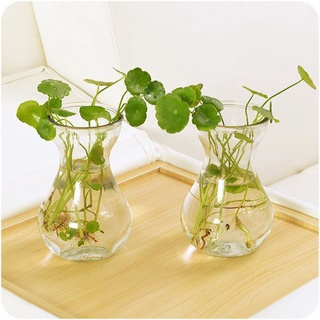 Bình Bông Lọ Hoa Thủy Tinh Miệng Loe Tặng kèm Dây Bố Trang Trí