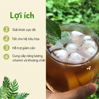 Mật Trà Kombucha Dưỡng Sinh 100ml (NSX 13/01/2022 - HSD 13/01/2025)