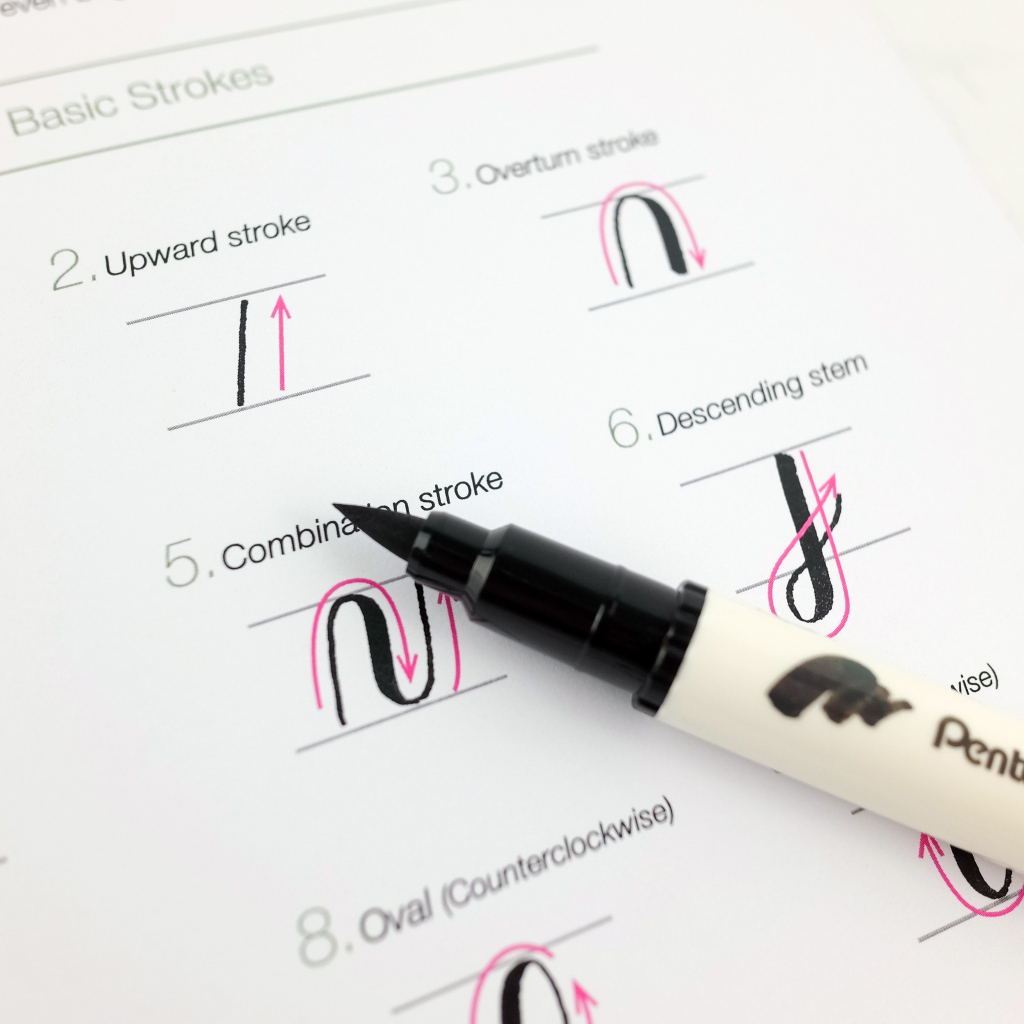 Bút viết thư pháp Calligraphy Pentel Brush Sign Pen Twin | Brush Pen 2 đầu | 30 màu
