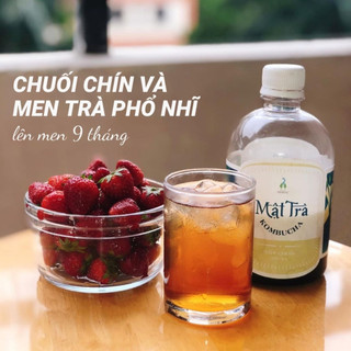 Mật Trà Kombucha Thảo Mộc 100ml (NSX 13/01/2022 - HSD 13/01/2025)