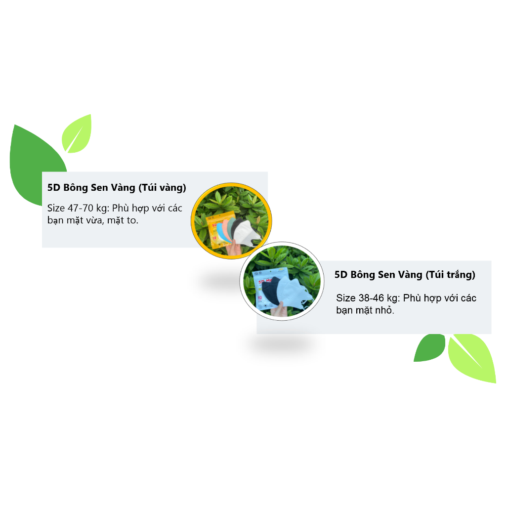 Thùng 200c Khẩu Trang 5D Bông Sen Vàng
