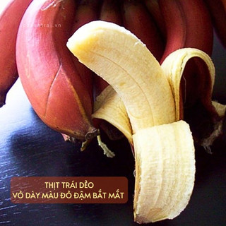 Combo 2 cây Chuối đỏ Dacca cây cấy mô