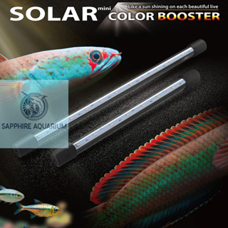 Đèn Led RGB Cho Cá Lóc, Cá Rồng Neo-Helios Solar Color Booster Bảo Hành 6 tháng