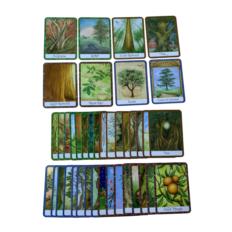 Bộ bài Tarot THAIHABOOKS Wisdom of Trees Oracle by Jane Struthers - 40 lá bài + sách hướng dẫn 11.5 x 16.2 cm