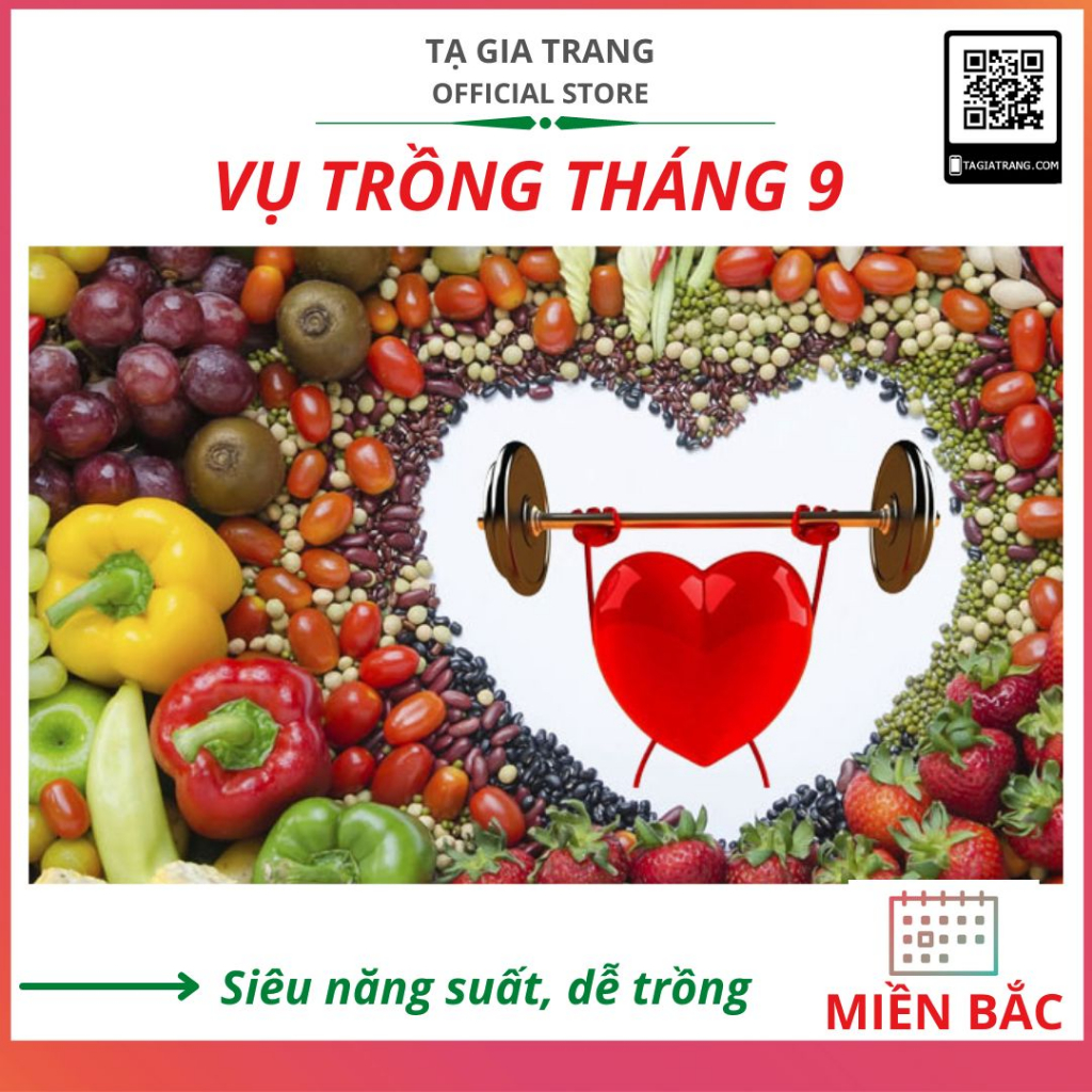 Hạt giống rau củ quả trồng tháng 9 ở miền Bắc sớm thu hoạch