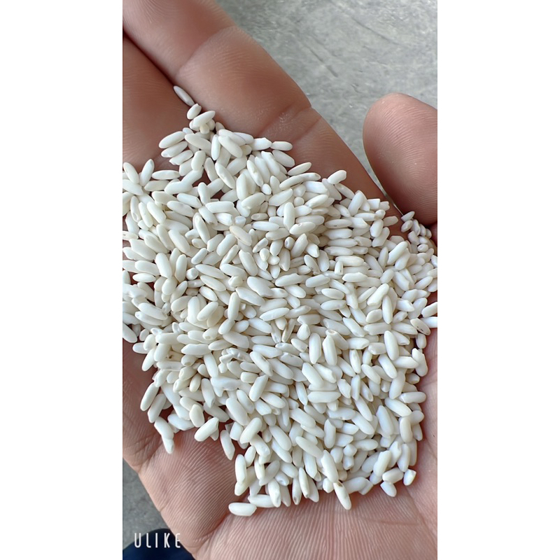 5kg nếp sáp ngỗng dẻo xôi nếp long an