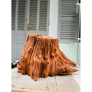 Lũa gỗ setup thuỷ sinh - tiểu cảnh - decor