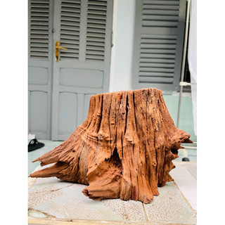 Lũa gỗ setup thuỷ sinh - tiểu cảnh - decor