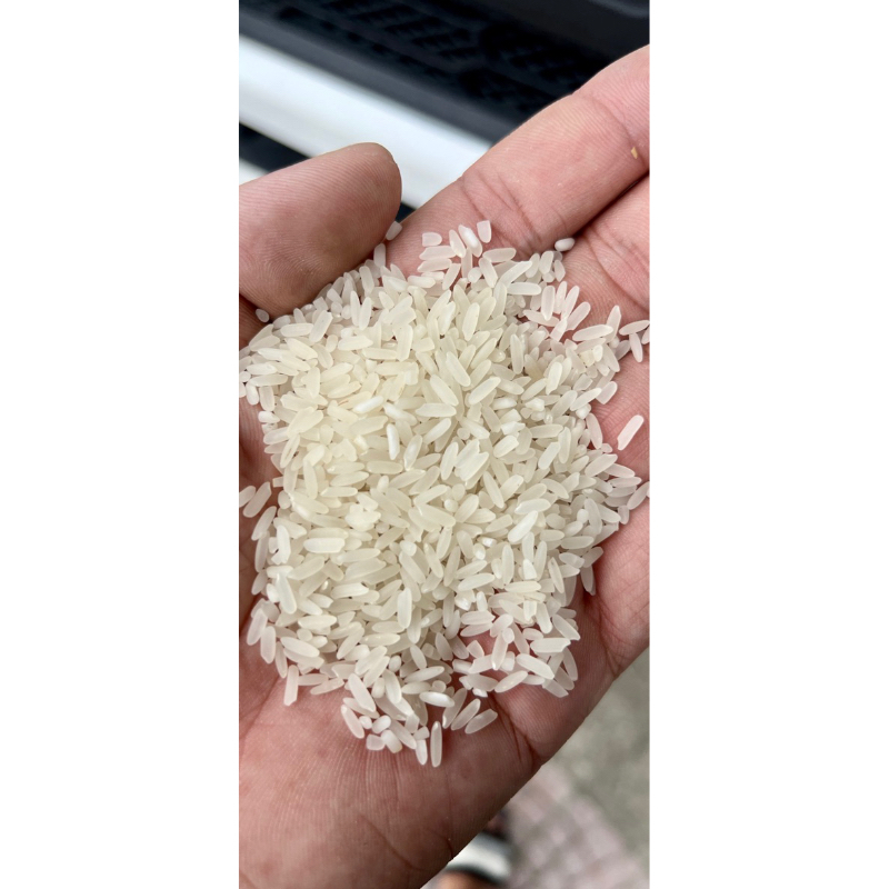 Gạo bắc hương vụ mới(Túi 10kg) dẻo cơm thơm ngon | BigBuy360 - bigbuy360.vn