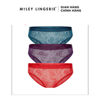 Combo 3 Quần Lót Nữ Thun Lạnh Ép Ren Miley Lingerie FLS_04