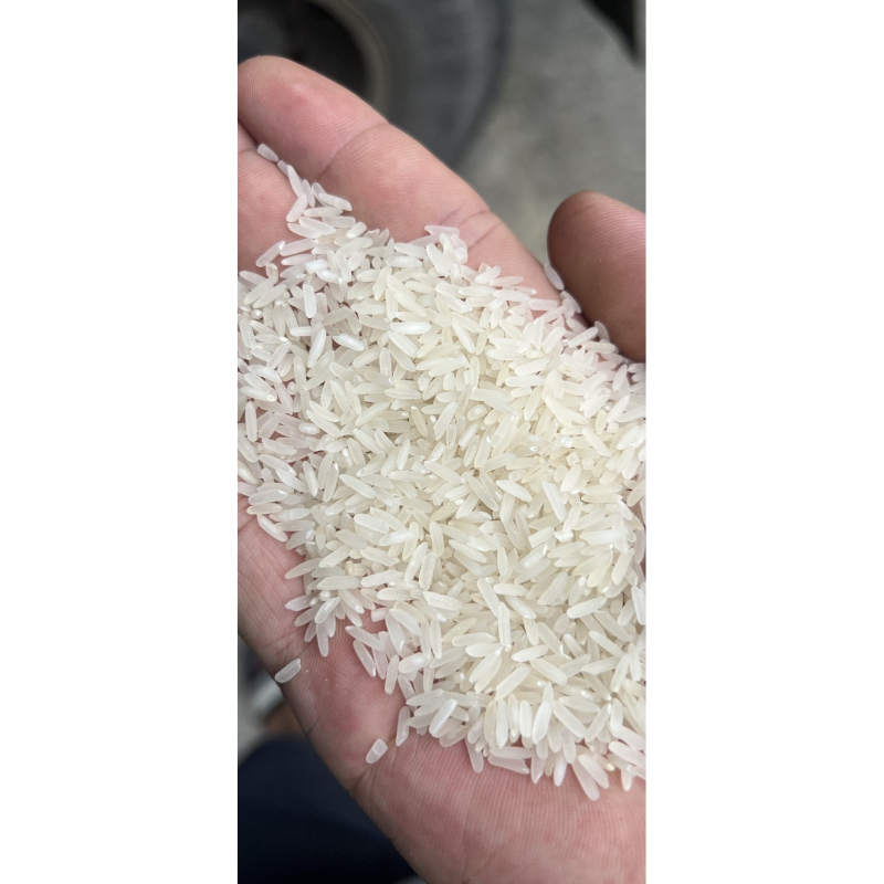 Gạo bắc hương vụ mới(Túi 10kg) dẻo cơm thơm ngon | BigBuy360 - bigbuy360.vn