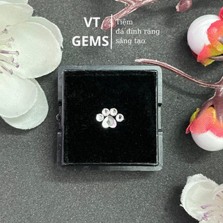 Đá Đính Răng Hình Chân Gấu Cute( Tặng kèm keo bút gắn đá)