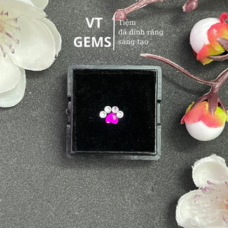 Đá Đính Răng Hình Chân Gấu Cute( Tặng kèm keo bút gắn đá)