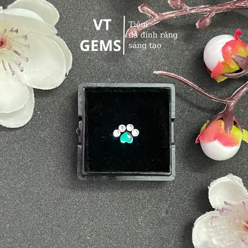 Đá Đính Răng Hình Chân Gấu Cute