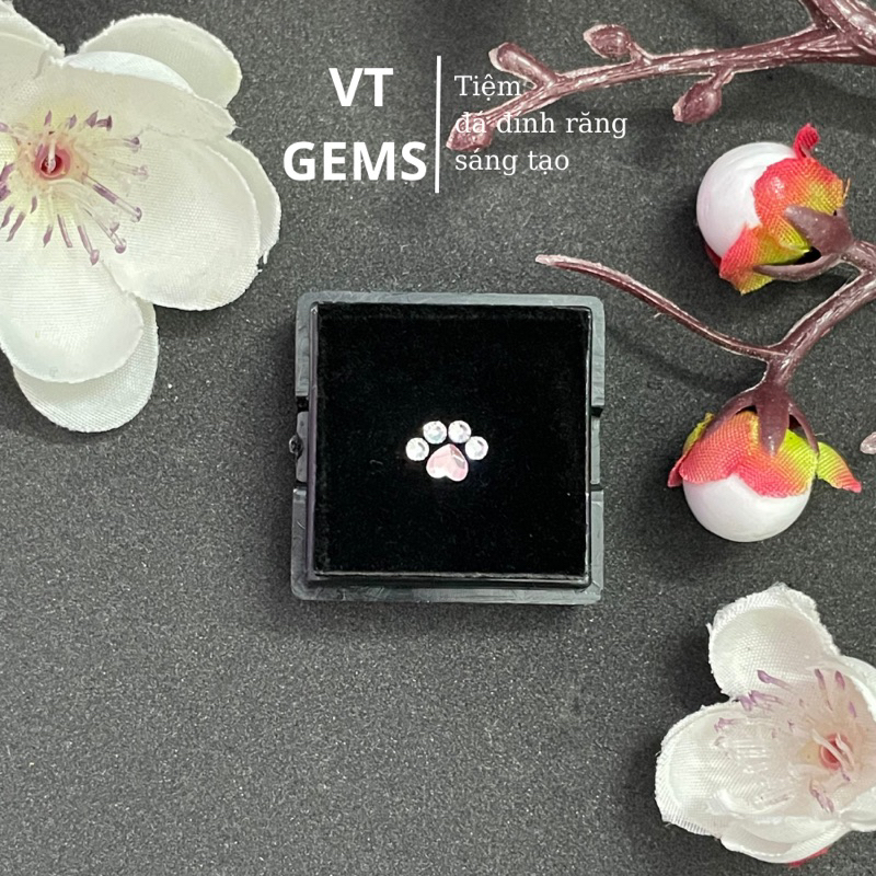 Đá Đính Răng Hình Chân Gấu Cute