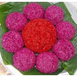 Cây giống cẩm tím, cẩm đỏ
