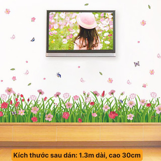 Decal dán tường chân cỏ thuỷ tiên dán chân tường