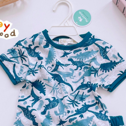 Bộ Bé Trai Cọc Tay/Ngắn Tay Thun Bozip Mát Mịn