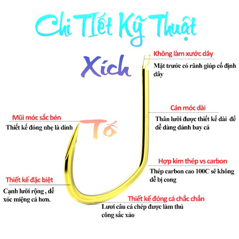 Lưỡi chép vàng size 7-8-9-10