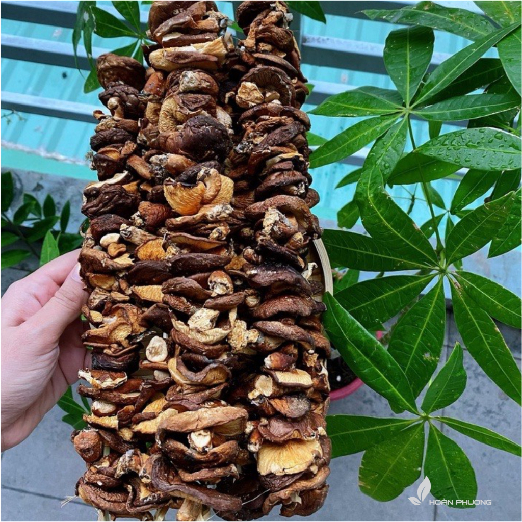 Nấm Hương Rừng Khô Điện Biên Hàng Loại 1 Thơm Ngon Nấm Hương Rừng Xiên Que Phơi Khô Tự Nhiên