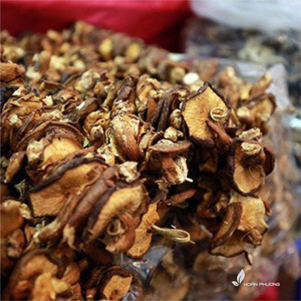Nấm Hương Rừng Khô Điện Biên Hàng Loại 1 Thơm Ngon Nấm Hương Rừng Xiên Que Phơi Khô Tự Nhiên