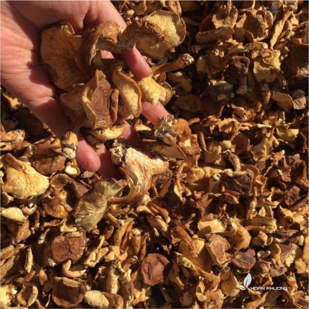 Nấm Hương Rừng Khô Điện Biên Hàng Loại 1 Thơm Ngon Nấm Hương Rừng Xiên Que Phơi Khô Tự Nhiên