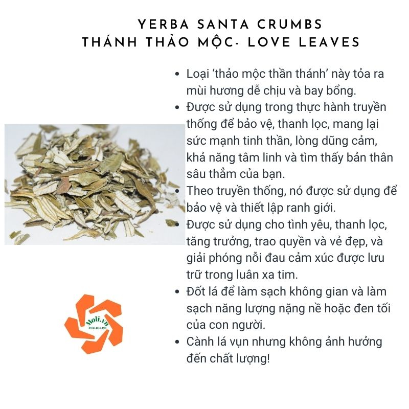 Cành lá yerba santa - Thảo mộc tình yêu Song An Eco