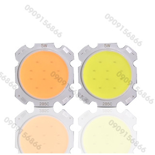 Mắt led cob 5w 7w 9w