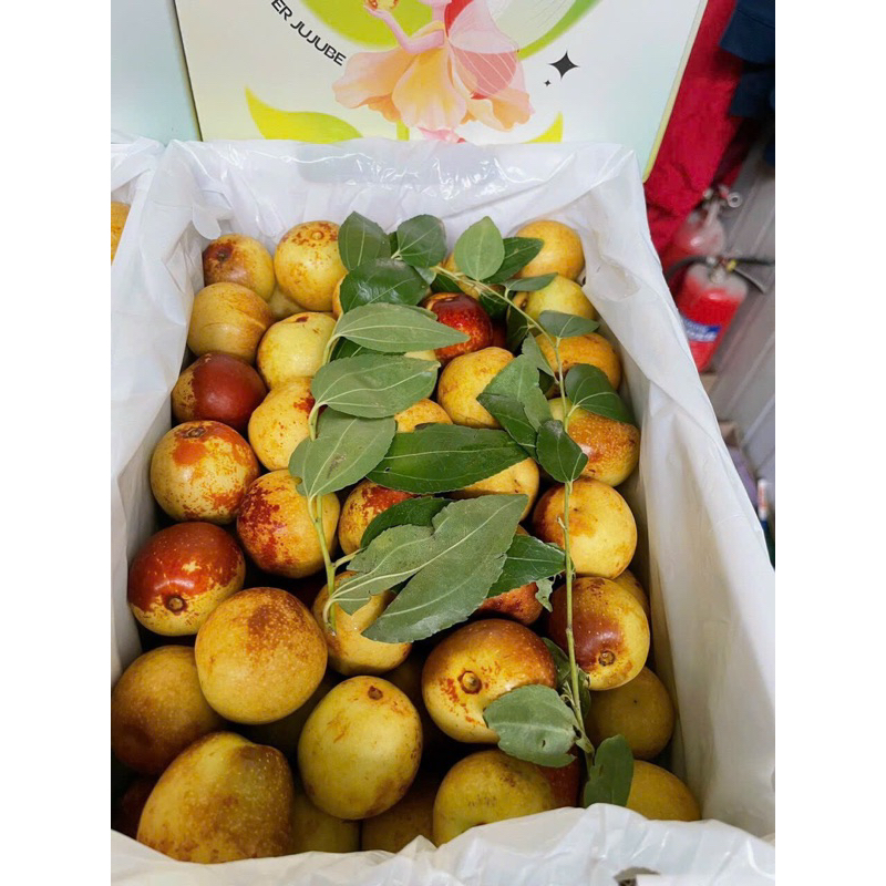 Hồng táo VIP xanh - hồng box 1,6kg