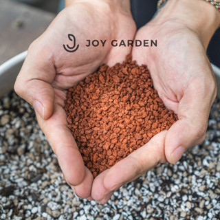 [1kg] Đá Nham Thạch đỏ - Red Lava Stone Premium - làm đất trồng sen đá, kiểng lá, bonsai, nền hồ cá | Joy Garden
