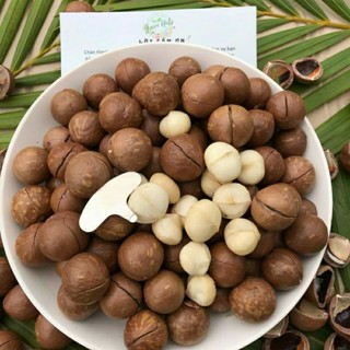(HŨ 500G) MACCA DAKLAK SẤY NỨT VỎ