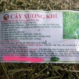 Cây bìm bịp