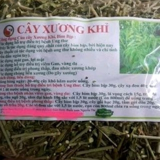 Cây xương khỉ