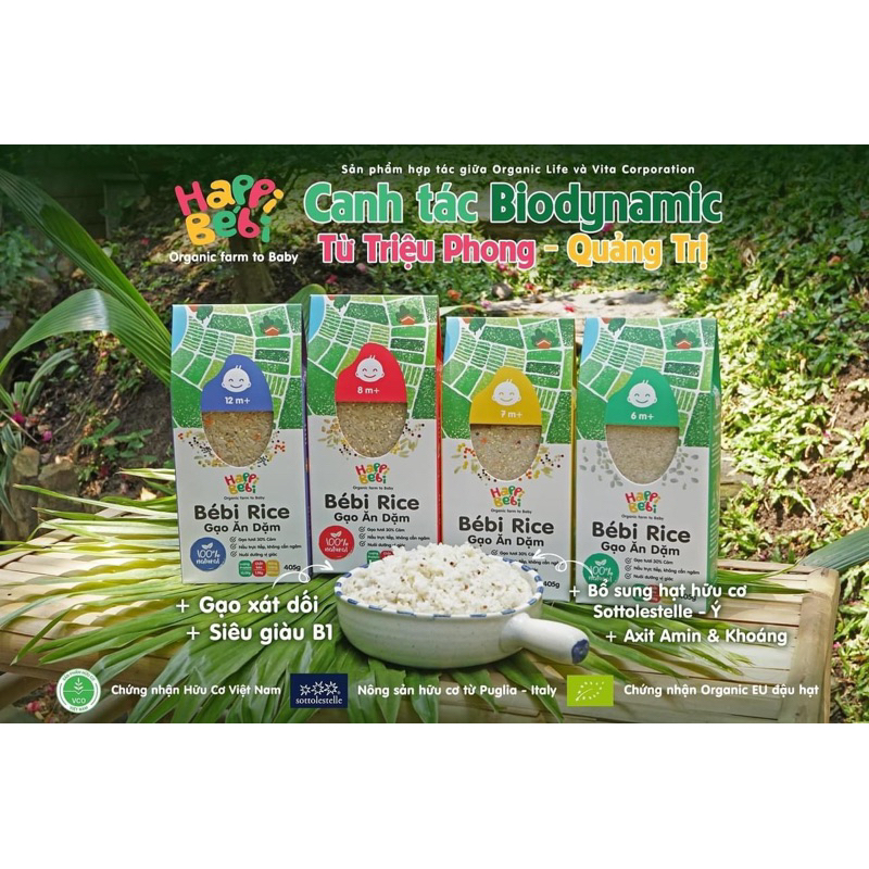 Gạo hạt vỡ Bébi Rice cho bé ăn dặm từ 6 tháng, gạo trộn hạt hữu cơ Ý 8m+
