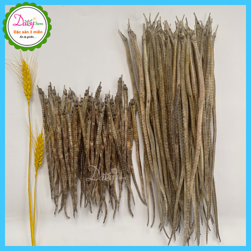 Hải Xà Khô Loại 1 - Set 10 con Hải Xà Khô Vũng Tàu