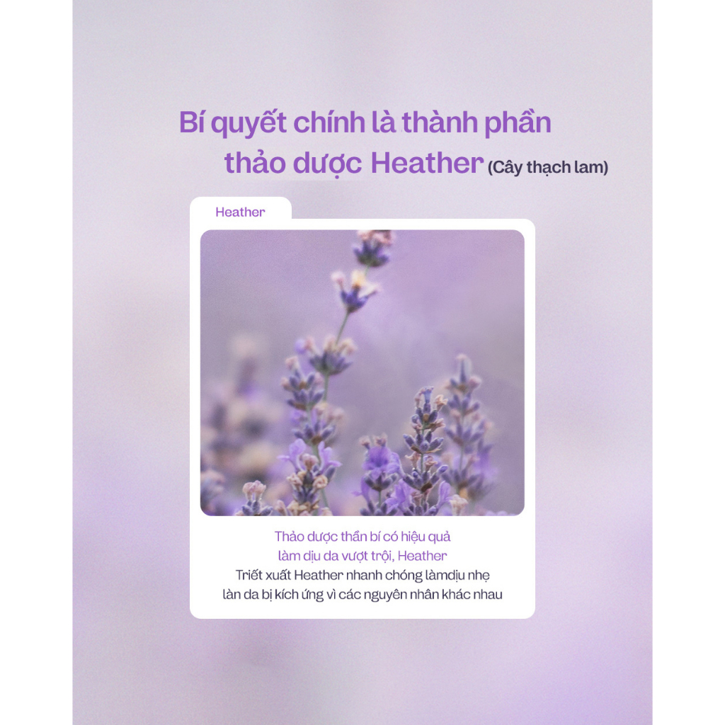 Pad và serum giảm kích ứng MANYO HEATHER CALMING ESSENCE