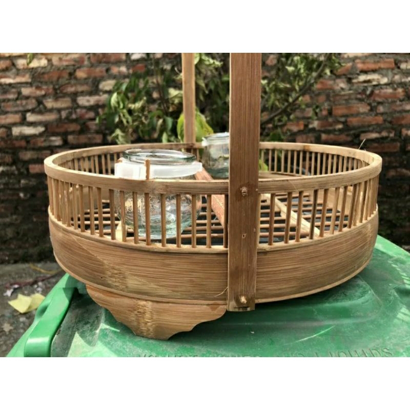 Lồng trần  chào mào kèm xích chân