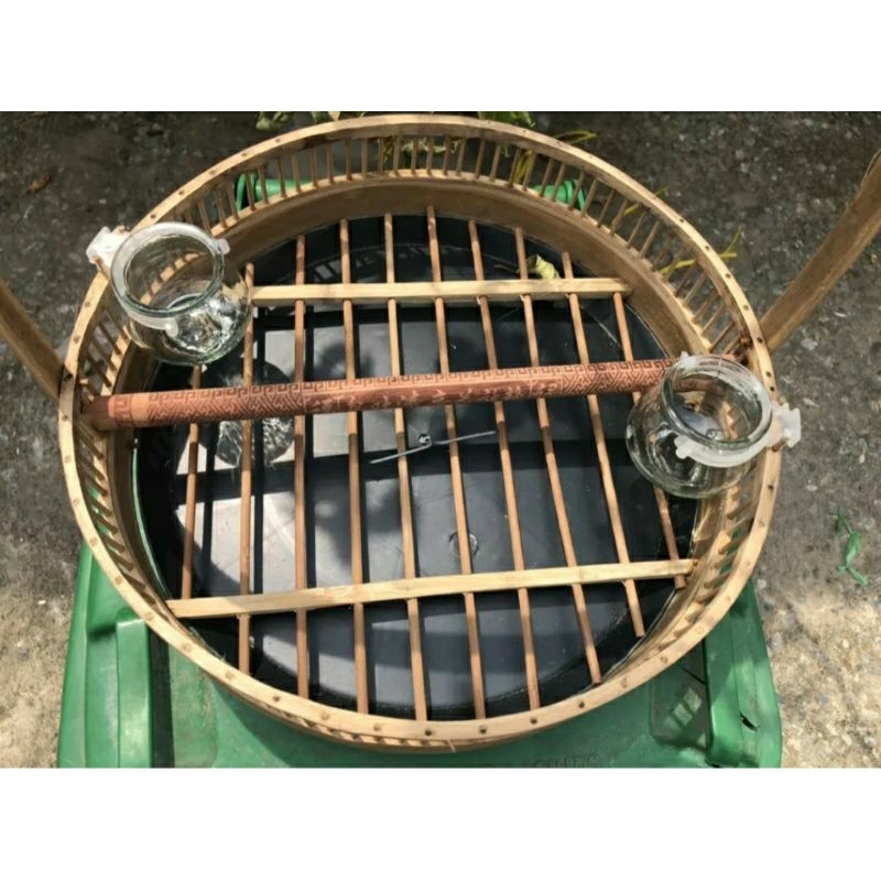 Lồng trần  chào mào kèm xích chân