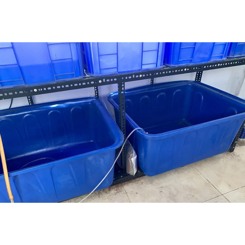 Thùng nhựa nuôi cá, thùng nhựa chữ nhật 50L/100L/200L/300L/500L
