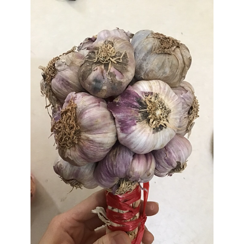 1Kg Tỏi ta - tỏi tía siêu thơm loại 1