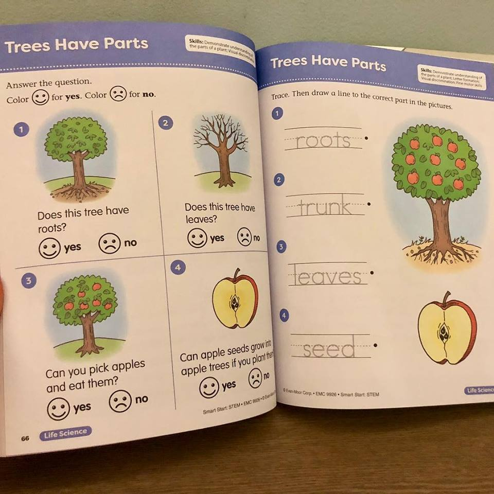 Sách - Smart Start Stem - 3 quyển