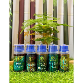 Hương Liệu Chép Hoàng Nguyễn
