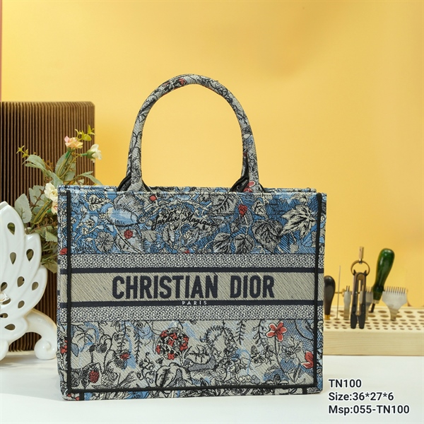 Túi xách nữ Dior Cầm tay da bò cao cấp TN100