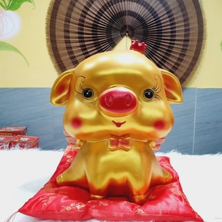 Heo đất cánh tiên size to nhất