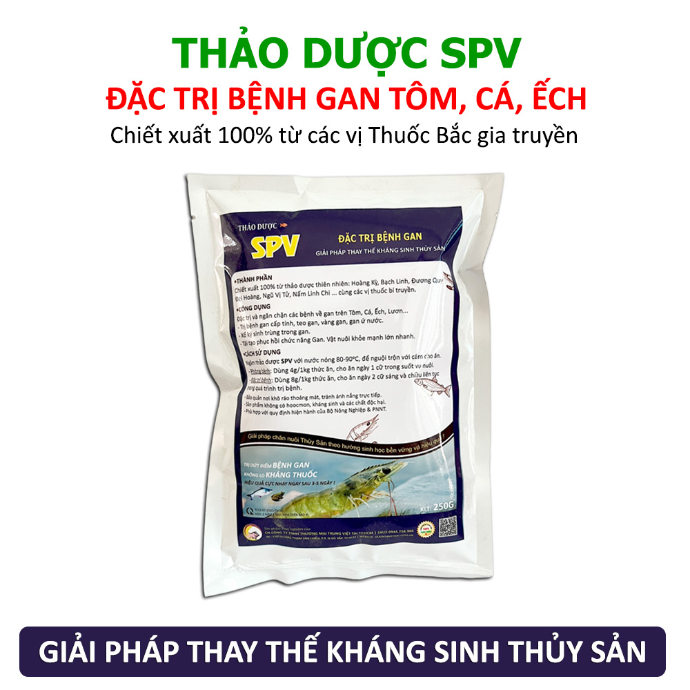 Dứt điểm bệnh Gan cấp tính, Vàng Gan, Teo Gan trên Tôm Cá Ếch Lươn - Thảo dược SPV thay thế Kháng Sinh Thủy Sản