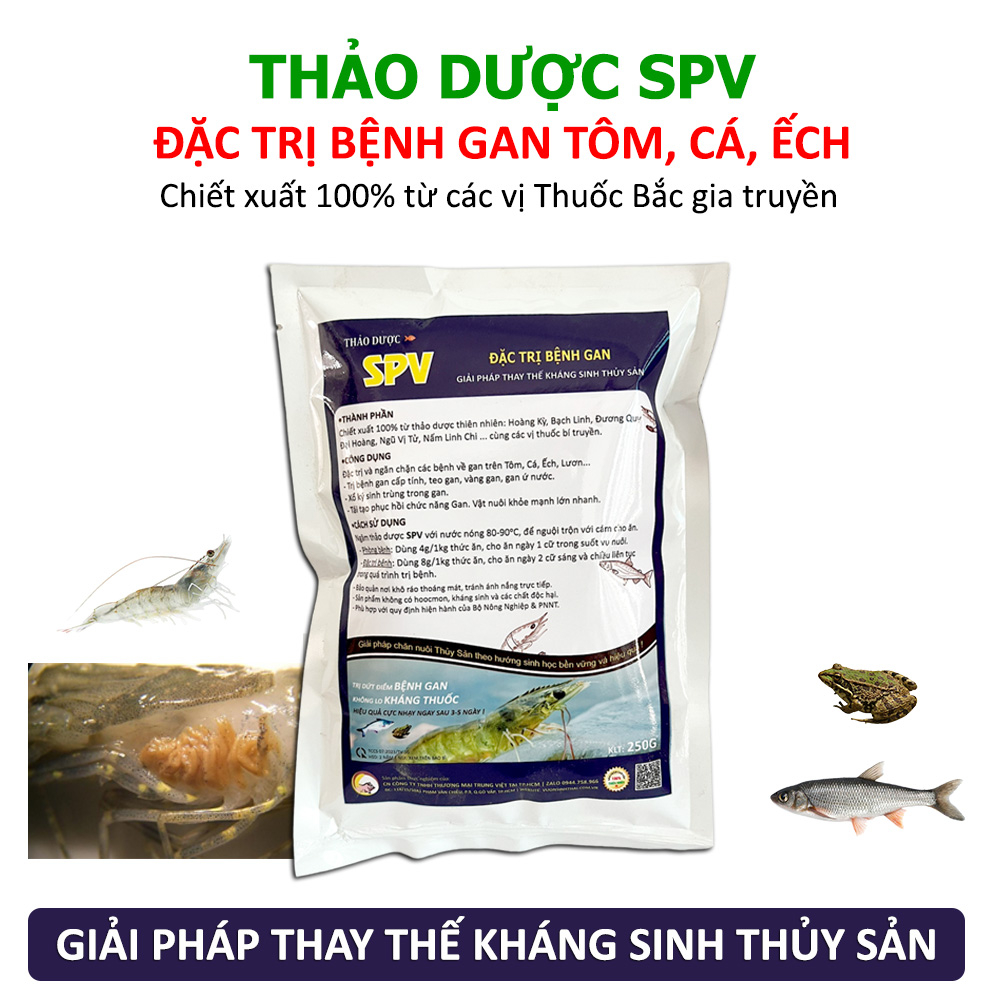 Dứt điểm bệnh Gan cấp tính, Vàng Gan, Teo Gan trên Tôm Cá Ếch Lươn - Thảo dược SPV thay thế Kháng Sinh Thủy Sản