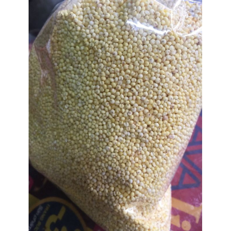 Hạt kê nếp vàng 500gr