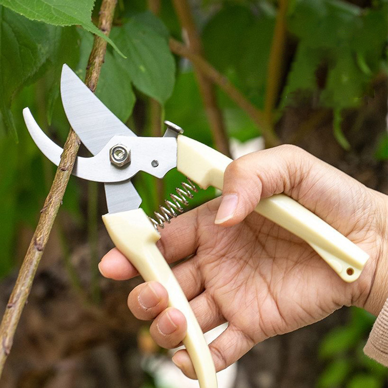 Combo Kéo cắt cành và kéo tỉa cành không thể thiếu trong chăm sóc cây cảnh bonsai