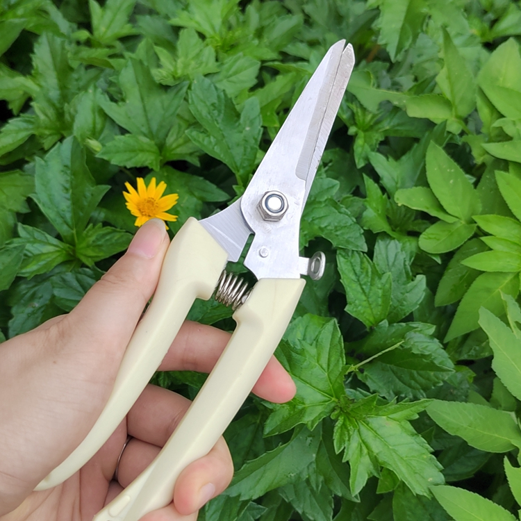 Combo Kéo cắt cành và kéo tỉa cành không thể thiếu trong chăm sóc cây cảnh bonsai