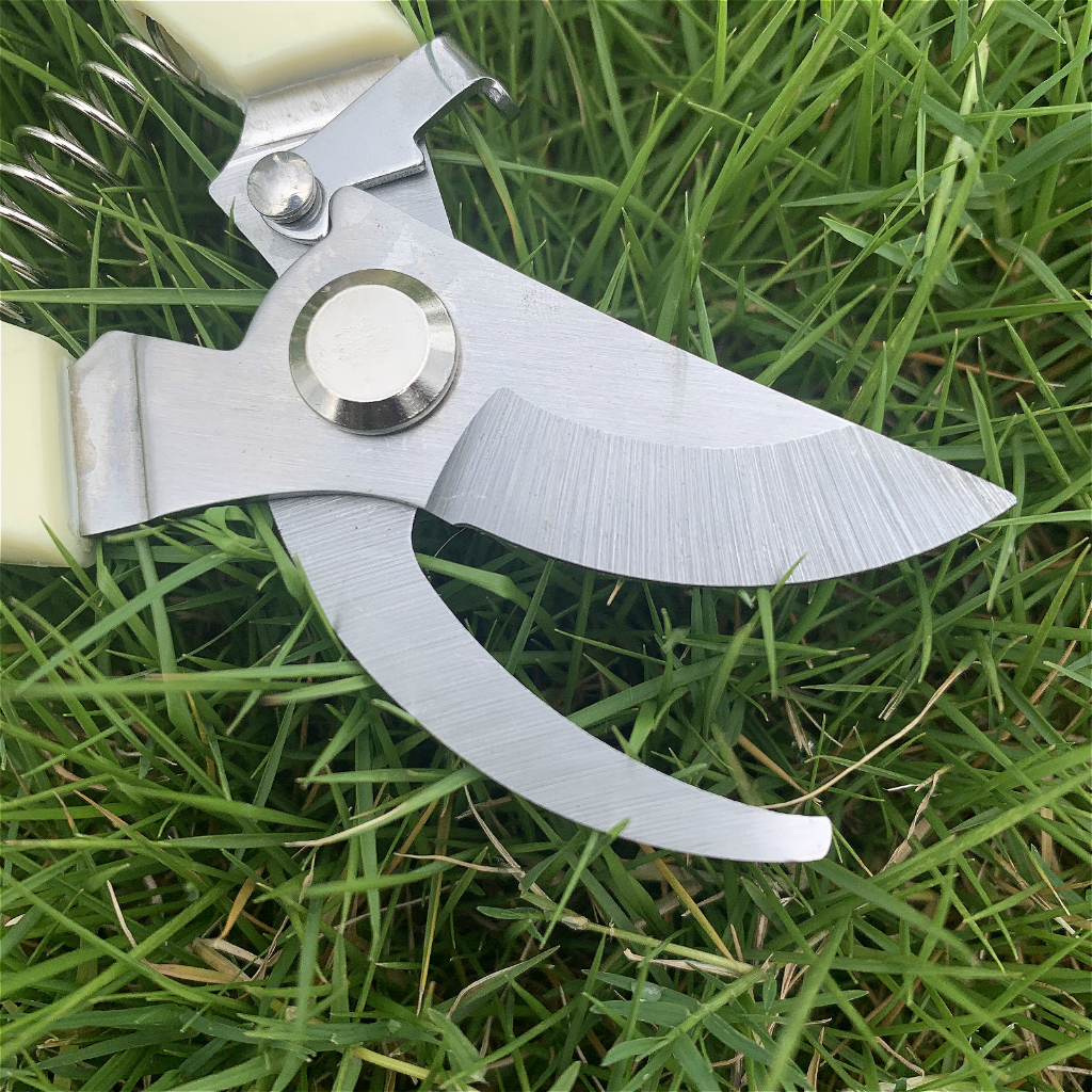 Combo Kéo cắt cành và kéo tỉa cành không thể thiếu trong chăm sóc cây cảnh bonsai